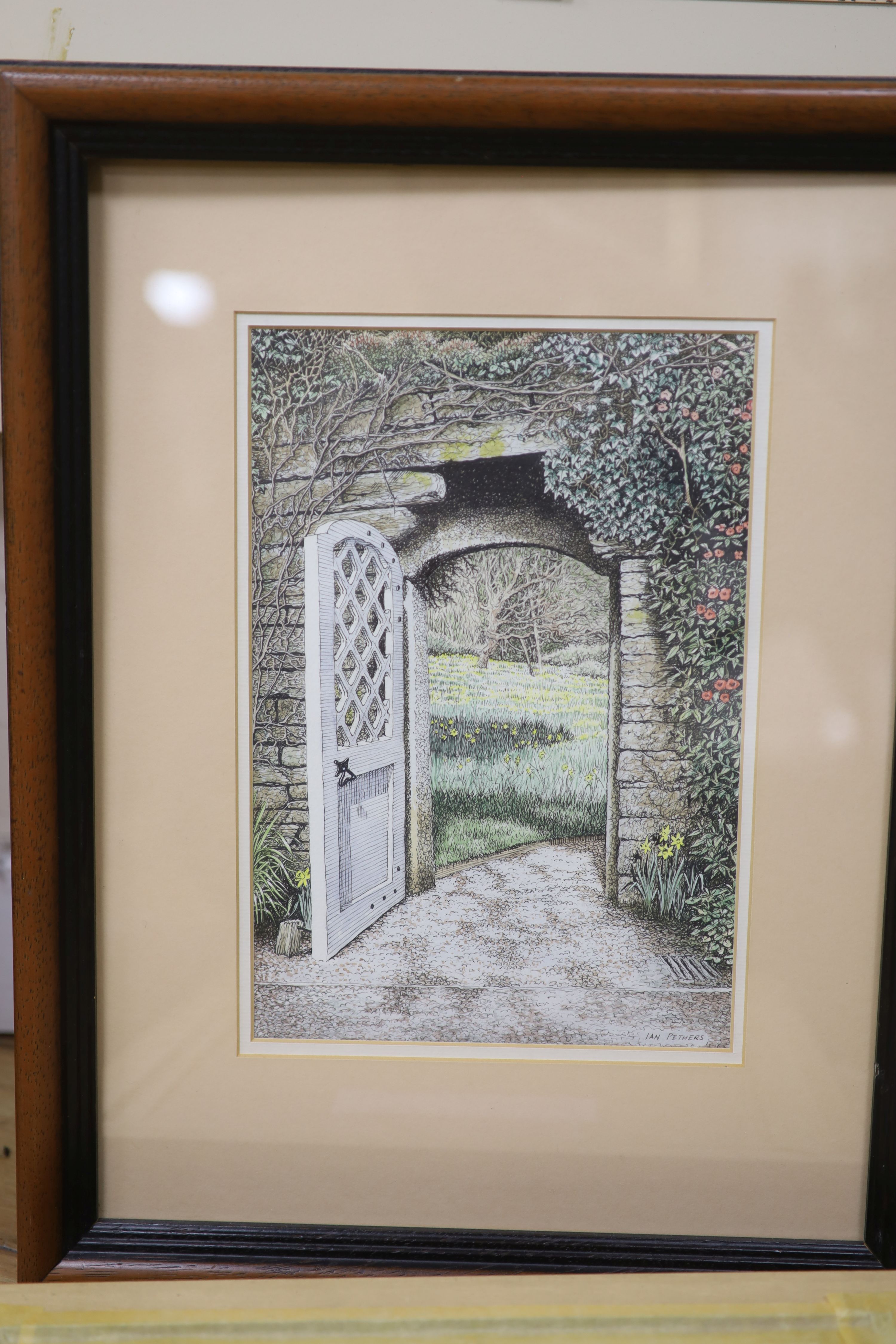 Ian Pethers SBA, six pen and wash drawings, Daffodils at Cotehele, Cornwall and water garden scenes, signed, most with exhibition labels, largest 26.5 x 18cm